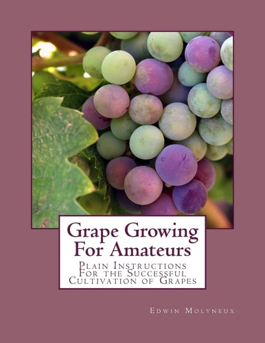 Grape Growing For Amateurs Plain Instructions For the Successful Cultivation of Grapes