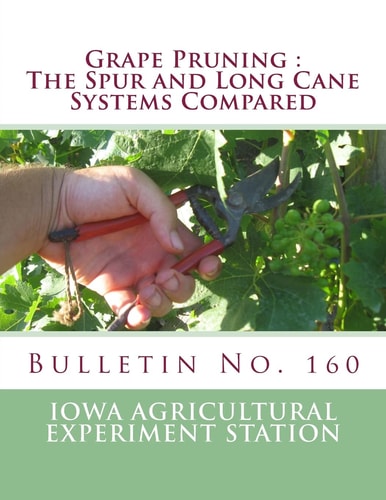 Grape Pruning The Spur and Long Cane Systems Compared: Bulletin No. 160