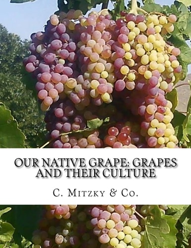 Our Native Grape: Grapes and Their Culture A List of Old and New Grape Varieties