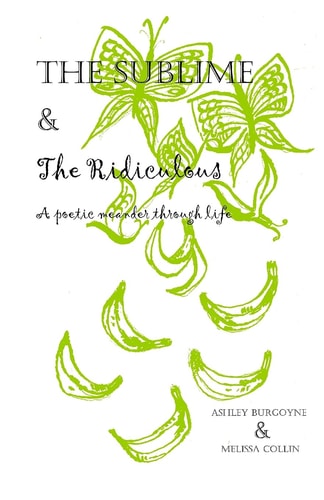 The Sublime and the Ridiculous