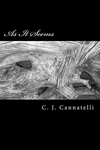 As It Seems Poems for the Broken