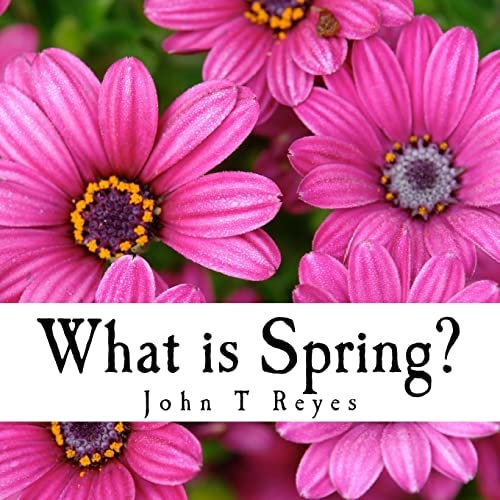 What Is Spring?