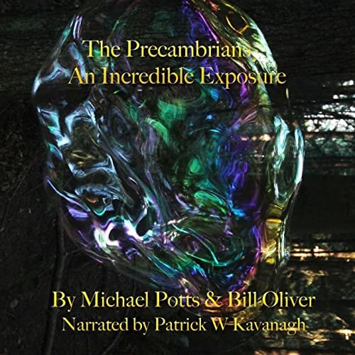 The Precambrians An Incredible Exposure