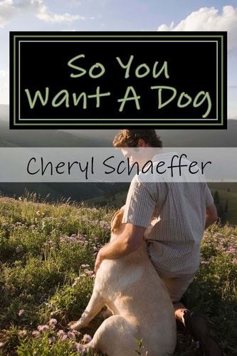 So You Want A Dog What You Most Need To Know About Finding The Perfect Pup