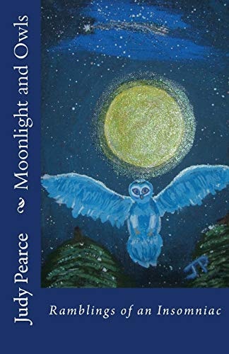 Moonlight and Owls Ramblings of an Insomniac