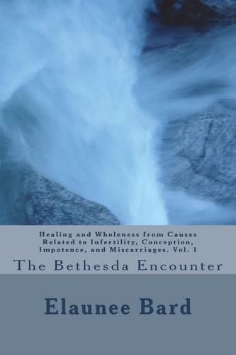 The Bethesda Encounter: Healing and Wholeness from Causes Related to Infertility, Conception, Impotence, and Miscarriages. Vol. 1 The Bethesda Encounter