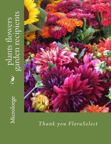 Plants Flowers Garden Recipients Thank You FloraSelect