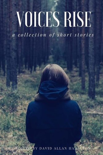 Voices Rise A Collection of Short Stories