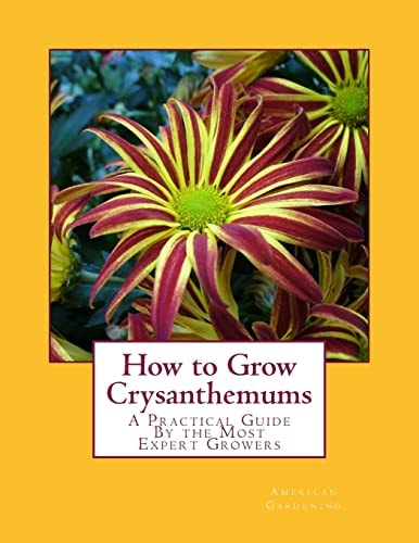 How to Grow Crysanthemums A Practical Guide By the Most Expert Growers