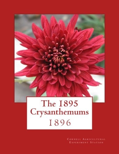 The 1895 Crysanthemums 1896