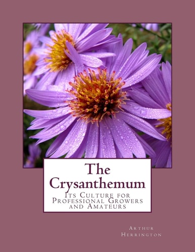 The Crysanthemum Its Culture for Professional Growers and Amateurs