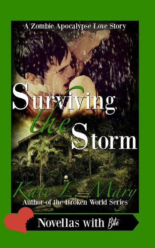 Surviving the Storm A Zombie Apocalypse Love Story