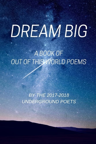 Dream Big A Book of Out of This World Poems