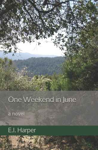 One Weekend in June A Novel