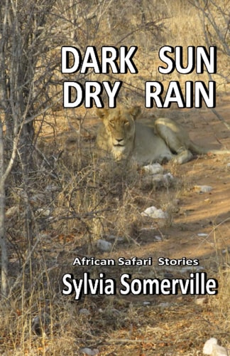 Dark Sun, Dry Rain African Safari Short Stories