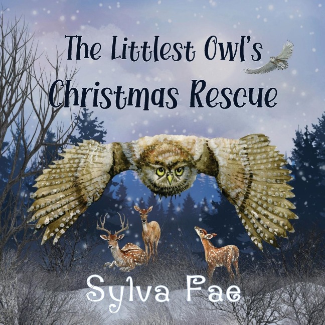 The Littlest Owls Christmas Rescue