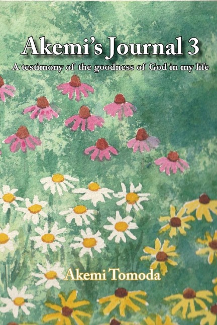 Akemis Journal 3: A testimony of the goodness of God in my life