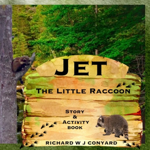 Jet The Little Raccoon Story & Activity Book