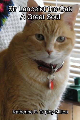 Sir Lancelot the Cat A Great Soul