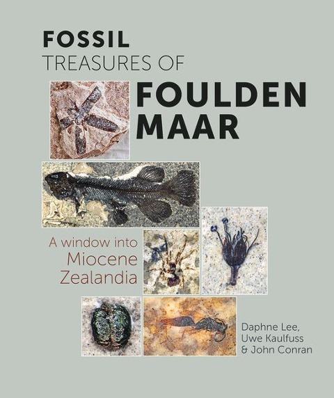 Fossil Treasures of Foulden Maar: A Window Into Miocene Zealandia