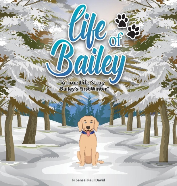 Life of Bailey: Baileys First Winter