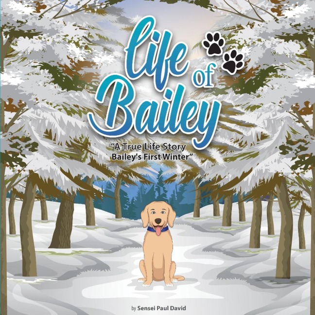 Life of Bailey: Baileys First Winter