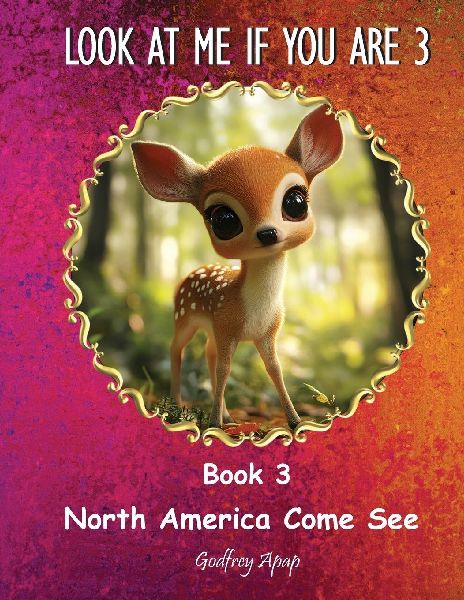 Look at Me if You Are 3: Book 3 - North America Come See