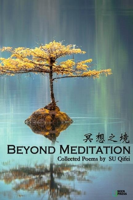 Beyond Meditation: &#20901;&#24819;&#20043;&#22659;
