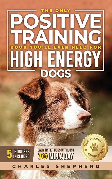 The Only Positive Training Book Youll Ever Need for High-Energy Dogs: Complete Step-by-Step Guide to Calm Your Hyper Dog, Stop Destructive Behaviors and Build Obedience in Just 10 Minutes a Day