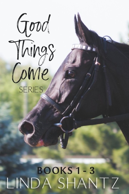 The Good Things Come Series: Books 1-3
