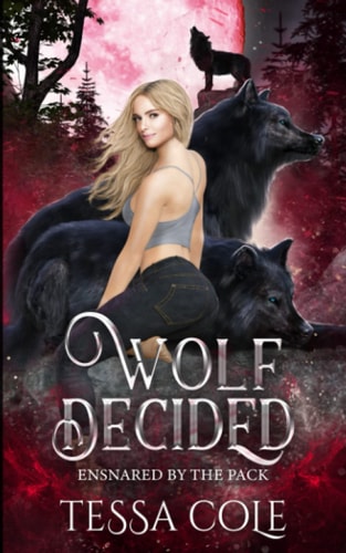 Wolf Decided An RH Rejected Mates Romance