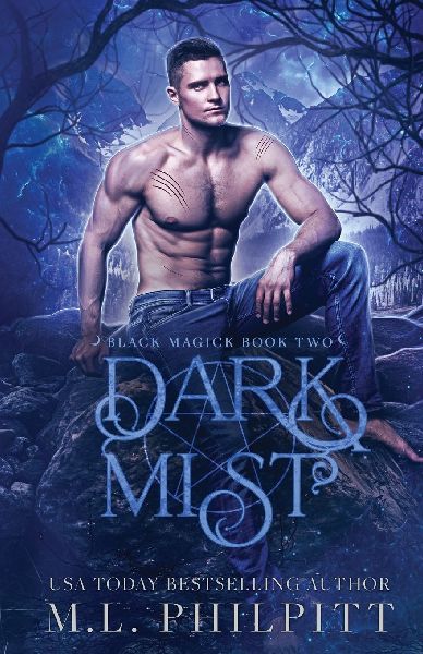 Dark Mist: A Fated Mates Shifter and Witch Parnormal Romance