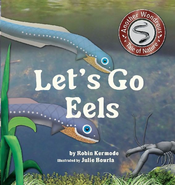Lets Go, Eels