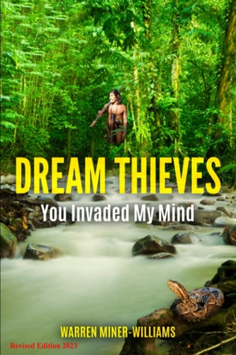 Dream Thieves You Invaded My Mind