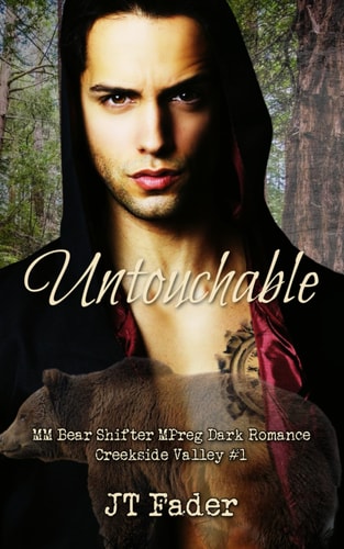 Untouchable MM Bear Shifter MPreg Dark Romance