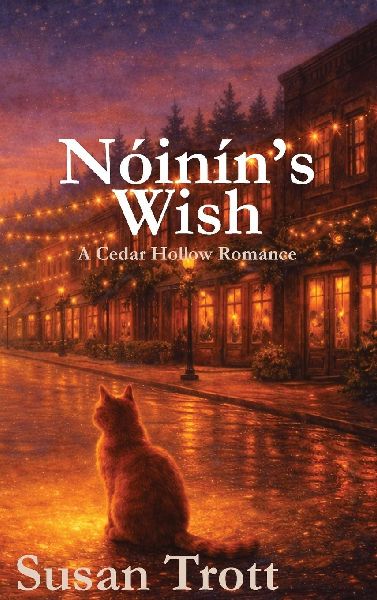 Nóiníns Wish: A Cedar Hollow Romance