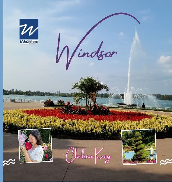 Windsor