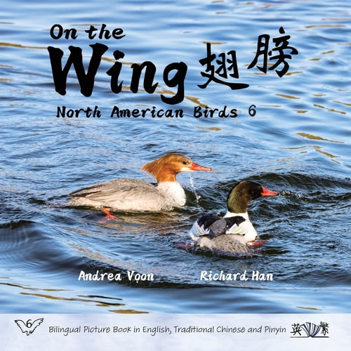 On the Wing 翅膀 - North American Birds 6 Bilingual Picture Book in English, Traditional Chinese and Pinyin