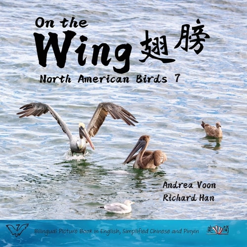 On the Wing 翅膀 - North American Birds 7 Bilingual Picture Book in English, Simplified Chinese and Pinyin