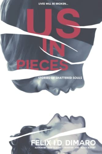 Us in Pieces Stories of Shattered Souls