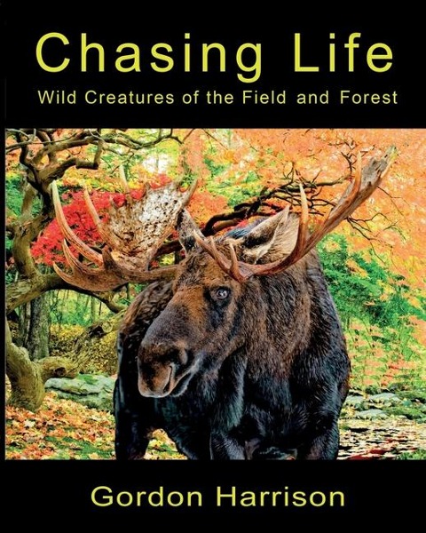 Chasing Life: Wild Creatures of the Field and Forest