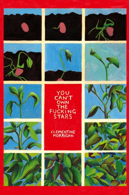 You Cant Own the Fucking Stars: Collected Writings on Trauma, Addiction, Recovery, and Transformation