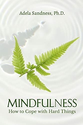 Mindfulness - How to Cope with Hard Things How Can We Be Mindful If We Don't Understand the Nature of Mind?