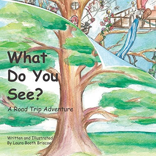 What Do You See? a Road Trip Adventure (square 8. 5 X 8. 5)