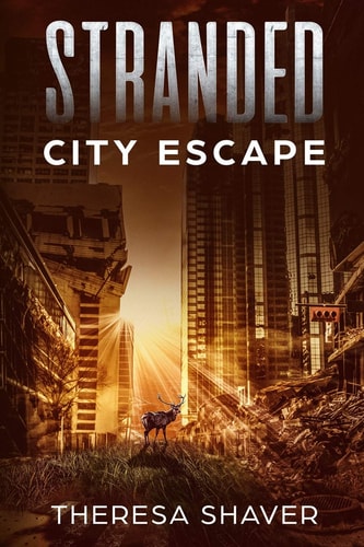 Stranded City Escape