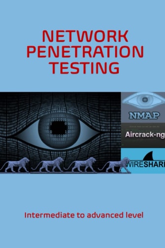 Network Penetration Testing