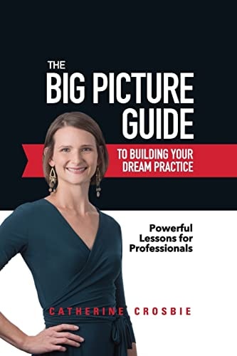 The Big Picture Guide to Building Your Dream Practice Powerful Lessons for Professionals