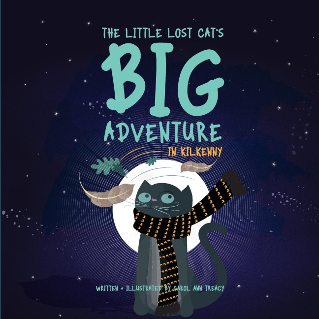 The Little Lost Cats Big Adventure in Kilkenny