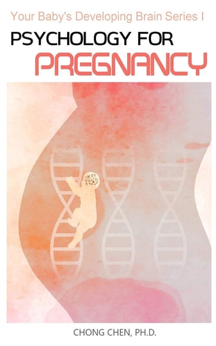 Psychology for Pregnancy How Your Mental Health During Pregnancy Programs Your Baby