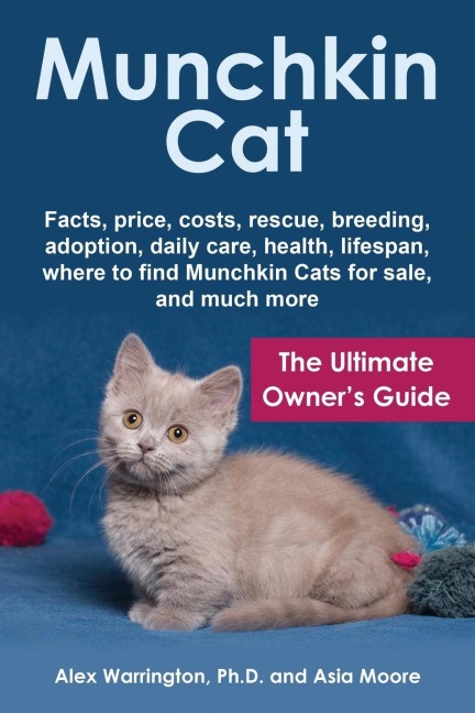 Munchkin Cat: The Ultimate Owners Guide